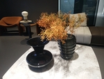 花卉