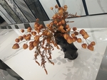 花卉