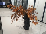花卉