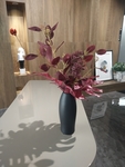 花卉