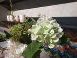 花卉