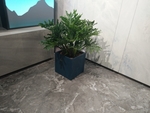 花卉