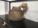 花卉