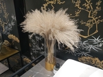 花卉