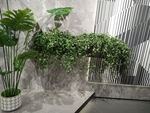 花卉