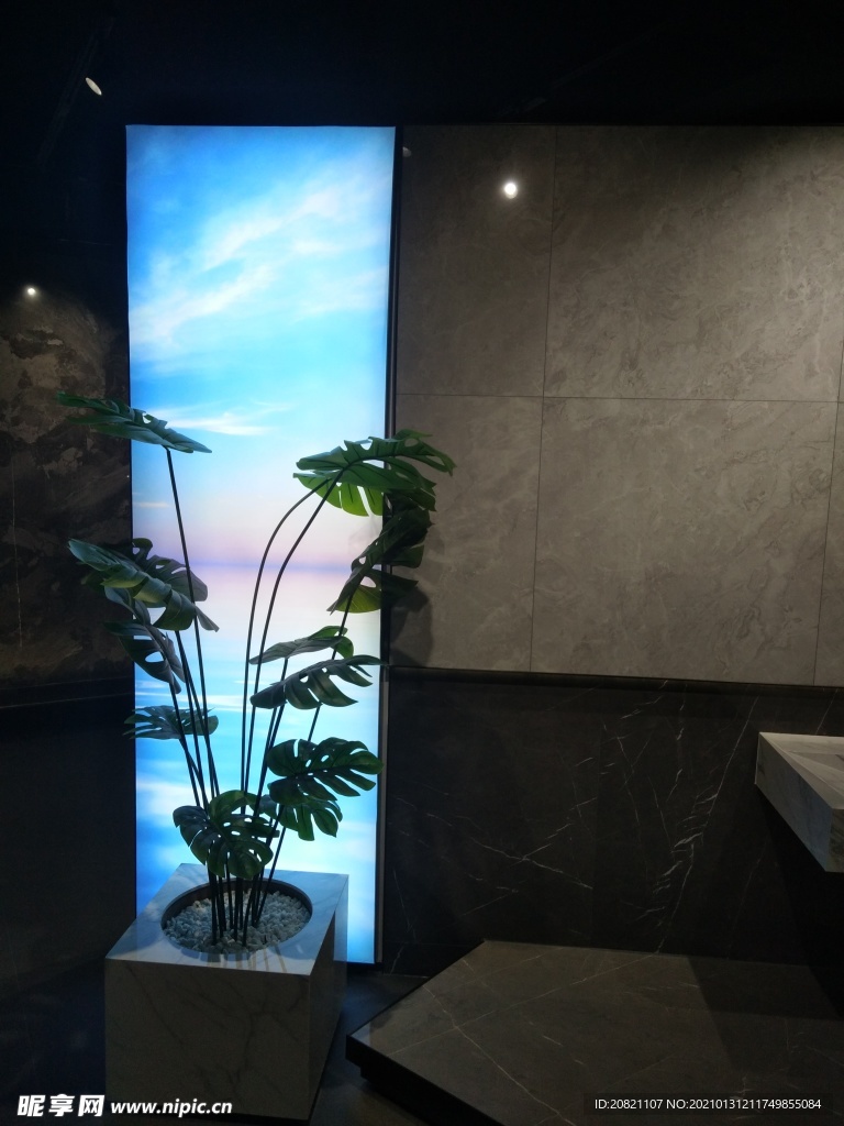 花卉