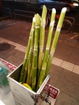 甘蔗