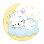 猫 上肆拾壹