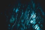 雨珠