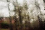 雨珠