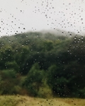 雨珠