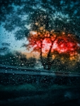雨珠