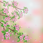 桃花花朵背景