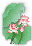荷花矢量