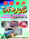 水产 开业 彩页 传单