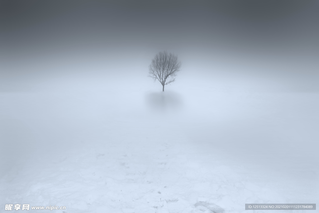 树