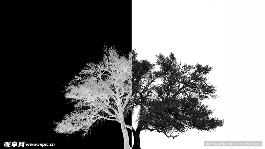 树