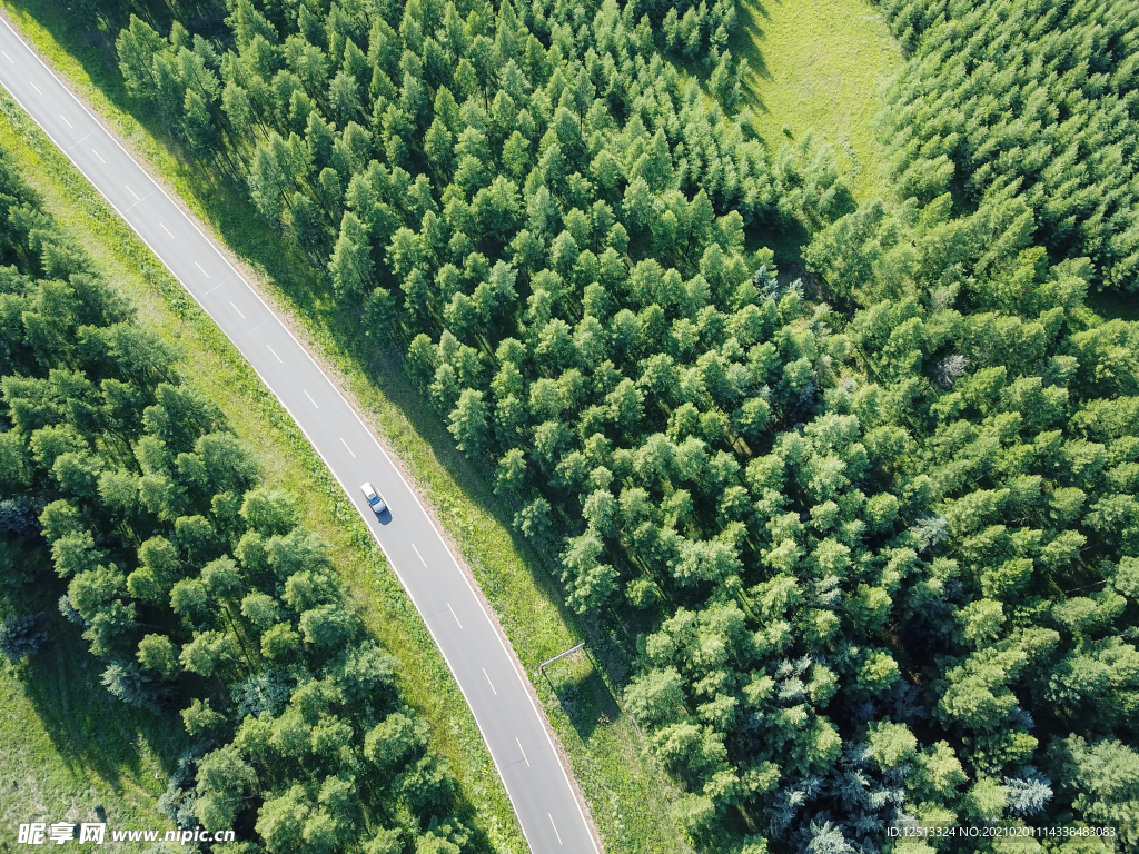 乌兰布统森林公路