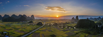 田野