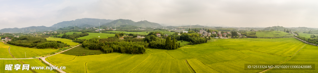 田野