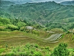 梯田