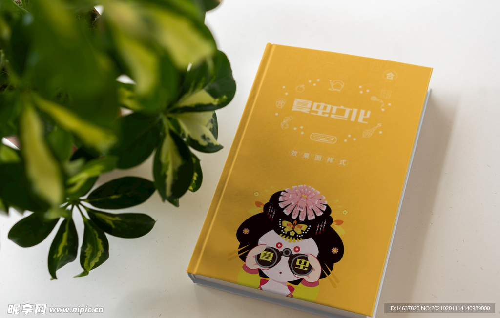 画册样机