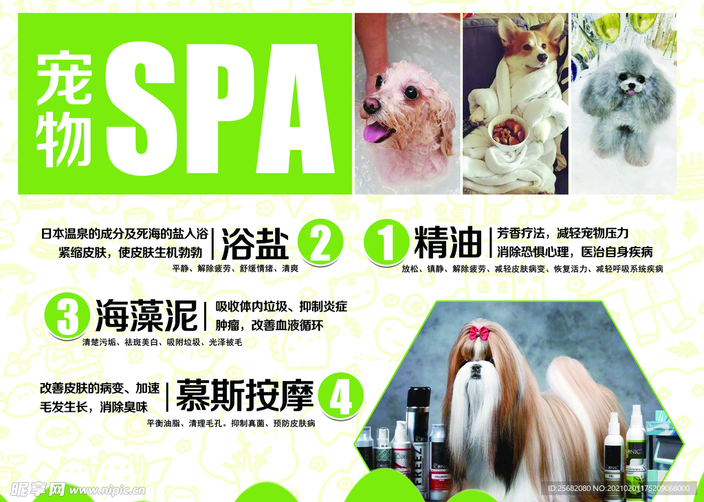 宠物SPA