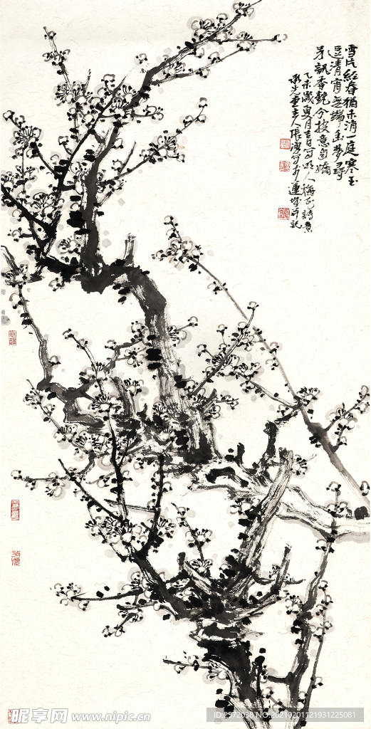 一庭寒玉逗清宵
