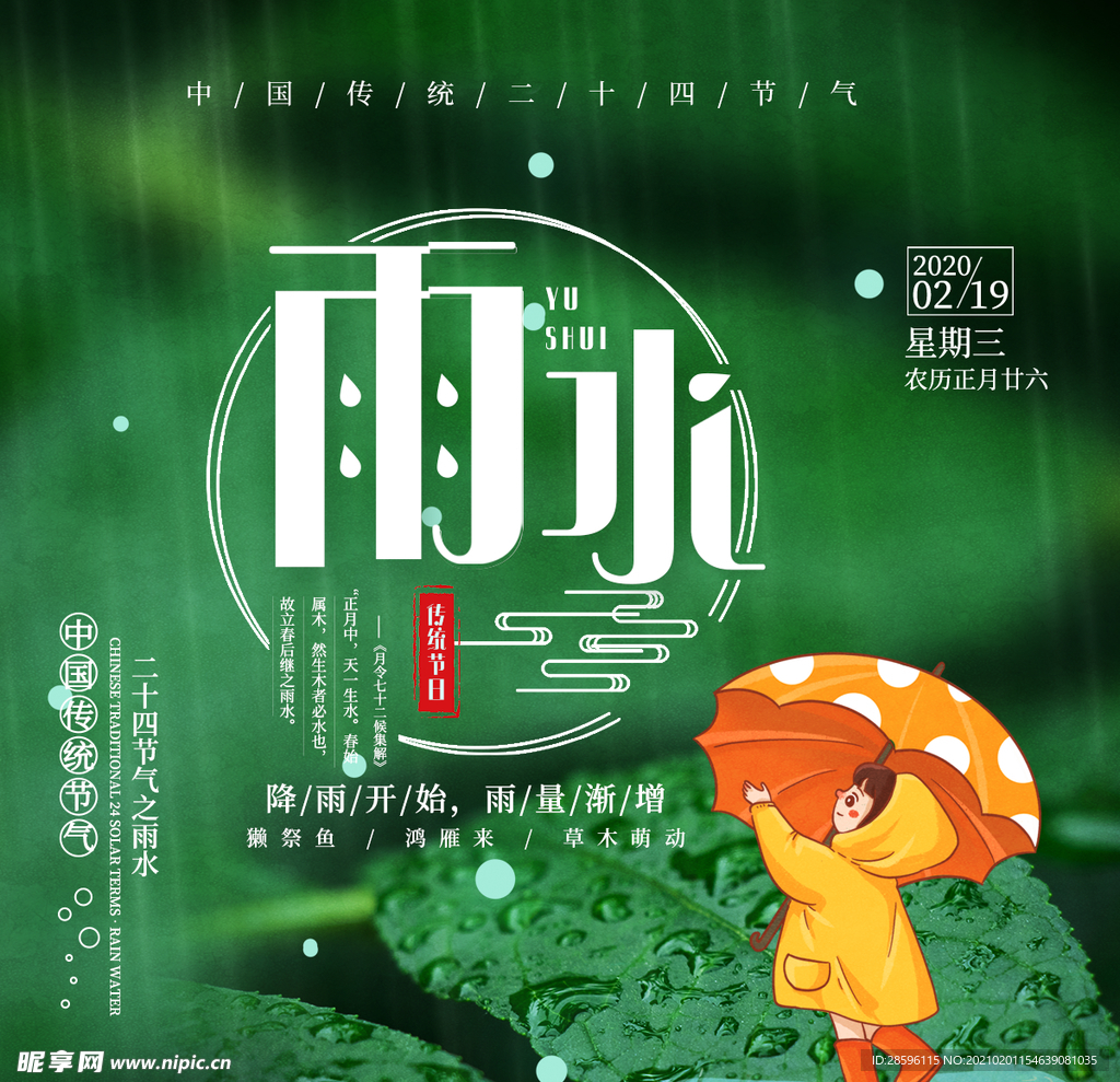 雨水