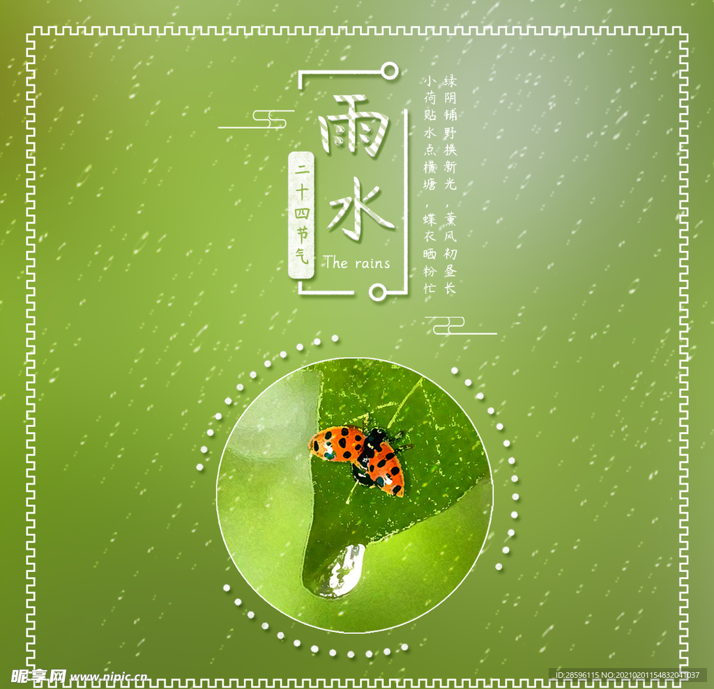 雨水