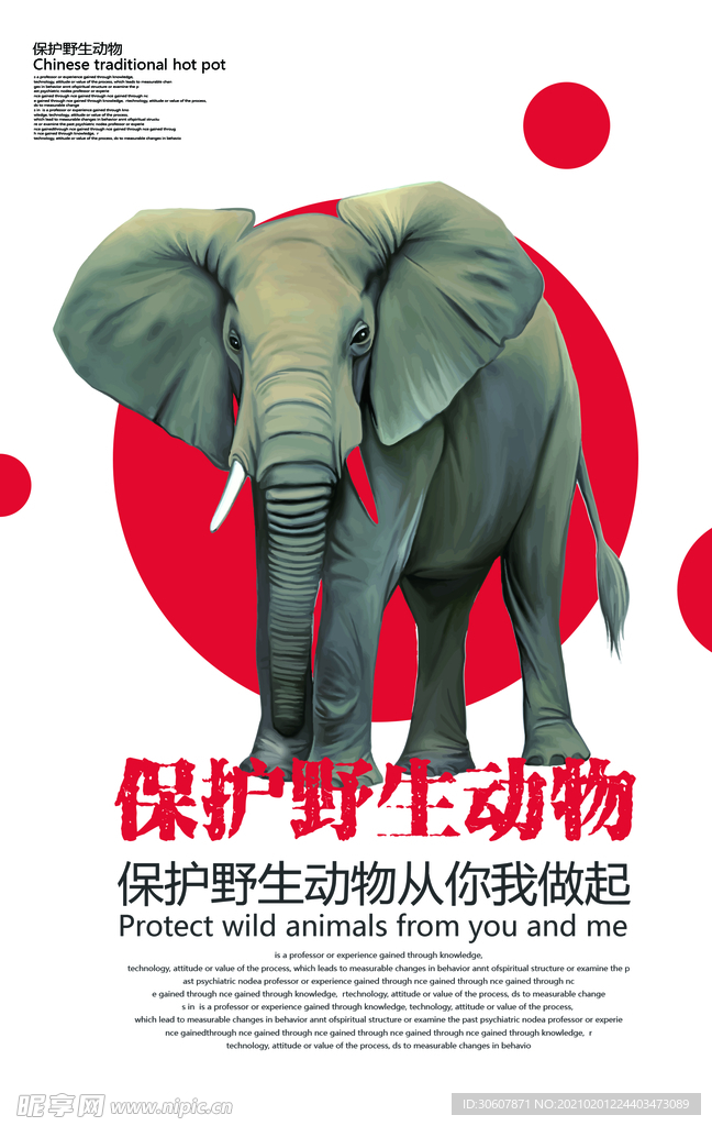 保护野生动物海报