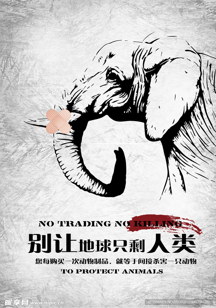 保护野生动物海报