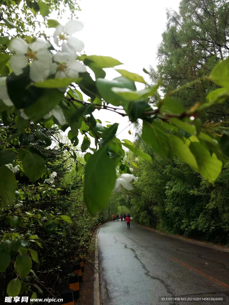 雨后 晨练 的公园