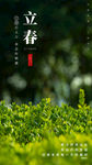 立春