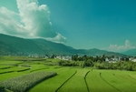 云南大山