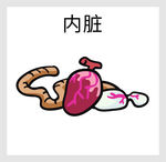 动物内脏