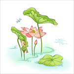 荷花