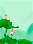 荷花