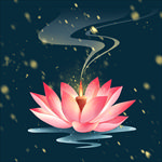 荷花