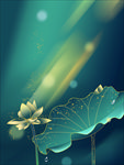 荷花
