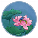 荷花