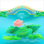 荷花