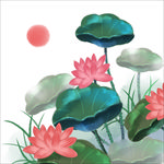 荷花
