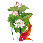 荷花