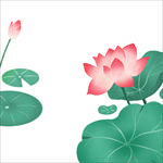 荷花