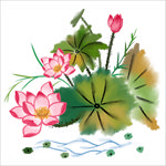 荷花