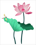 荷花