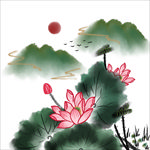 荷花