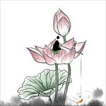 荷花