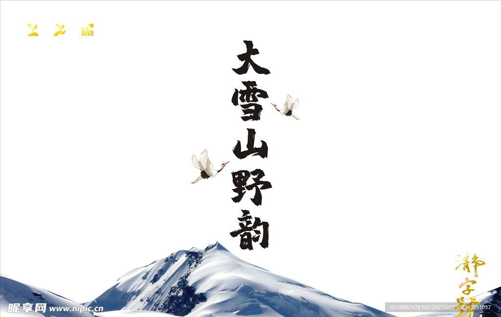 大雪山野韵武夷岩茶效果图 平面